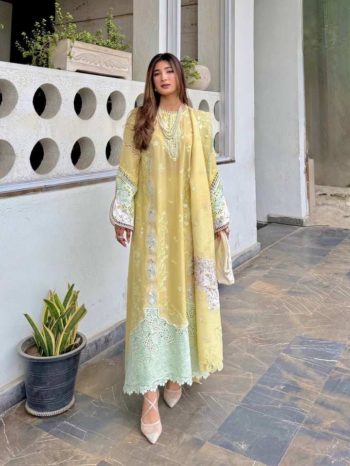 Qalamkar Chikankari Unstitched Embroidered Lawn 3 Piece Suit QLK26UCL CM-02 Ayla - Summer Collection