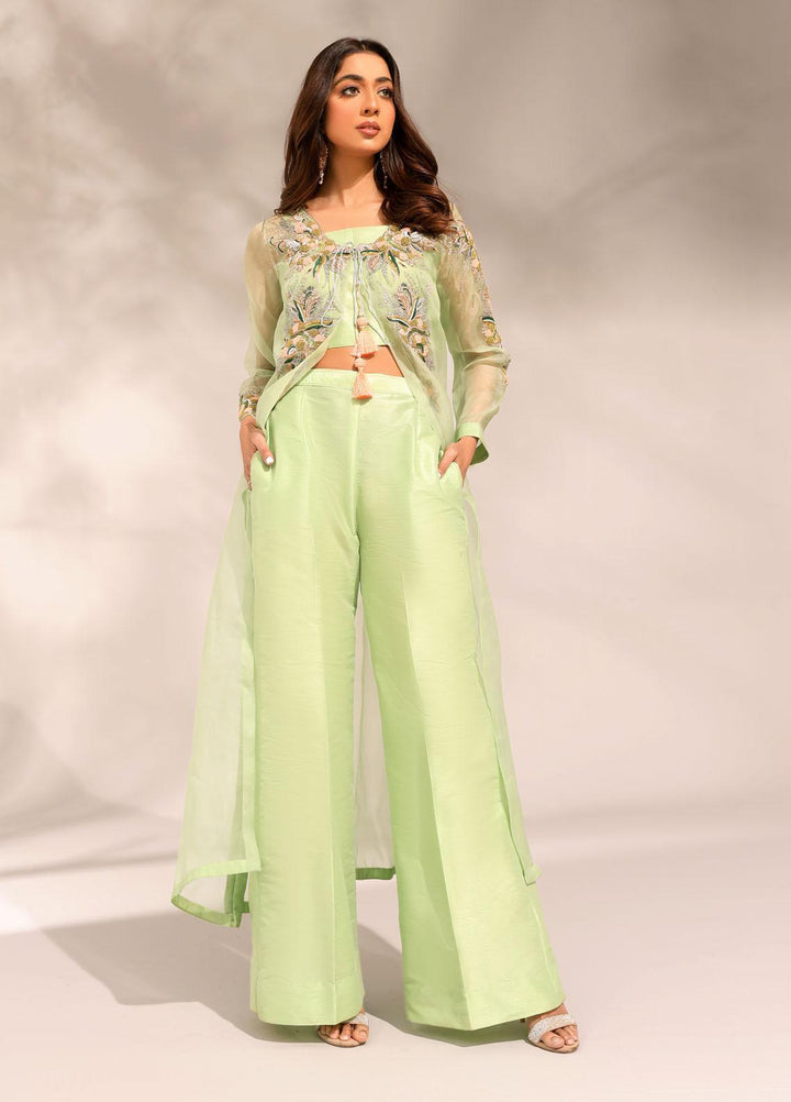 Ibraysha Luxury Pret  Organza 3 Piece Dress IBR23MNF Naznin
