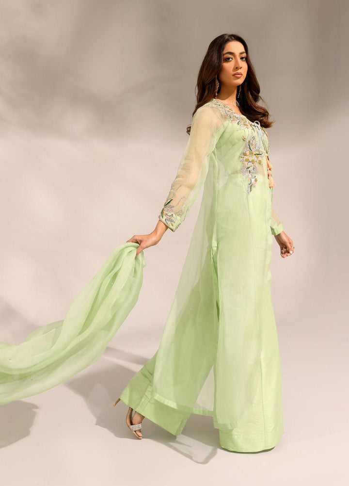 Ibraysha Luxury Pret  Organza 3 Piece Dress IBR23MNF Naznin