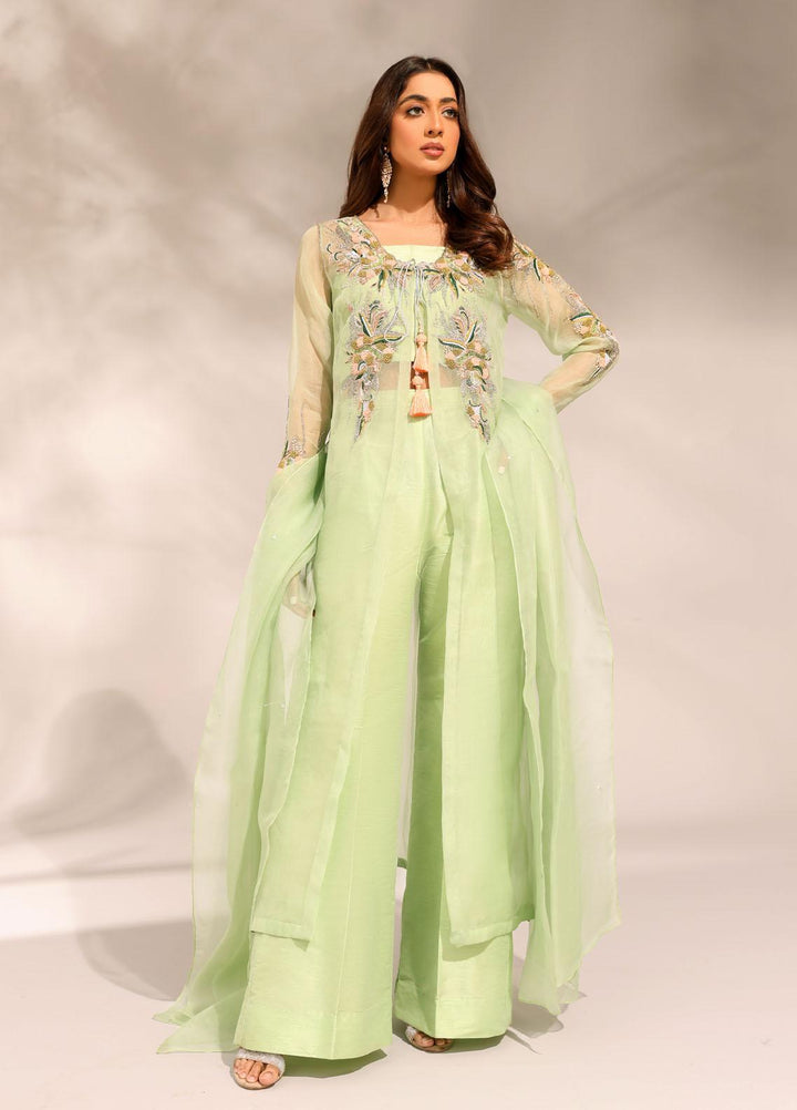 Ibraysha Luxury Pret  Organza 3 Piece Dress IBR23MNF Naznin