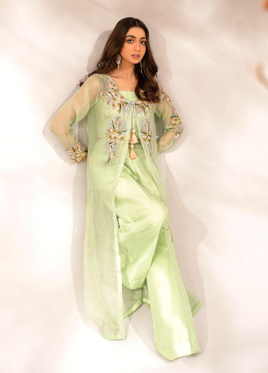 Ibraysha Luxury Pret  Organza 3 Piece Dress IBR23MNF Naznin