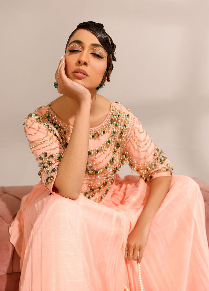 Ibraysha Luxury Pret  Chiffon 3 Piece Dress IBR23MNF Inara
