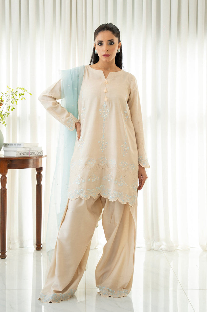 Liyaana From Nizka By Nida Rehan RTW Embroidered Raw Silk 3 Piece Suit Ivory Grace - Festive Collection