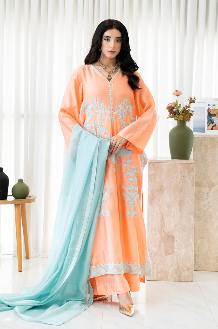 Liyaana From Nizka By Nida Rehan RTW Embroidered Organza Silk 3 Piece Suit Midnight Mist - Festive Collection