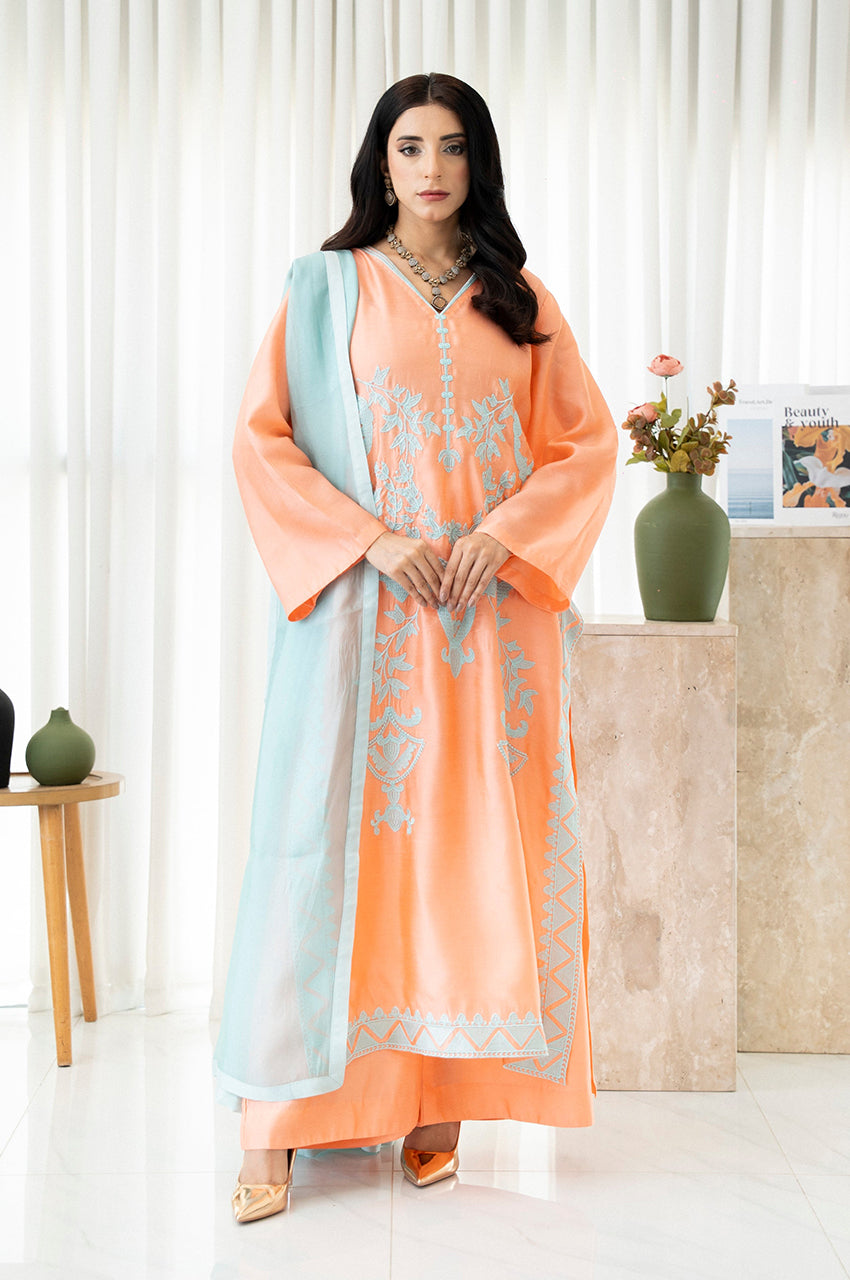 Liyaana From Nizka By Nida Rehan RTW Embroidered Organza Silk 3 Piece Suit Midnight Mist - Festive Collection