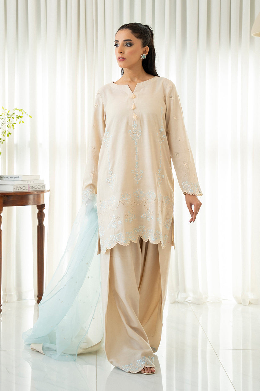Liyaana From Nizka By Nida Rehan RTW Embroidered Raw Silk 3 Piece Suit Ivory Grace - Festive Collection
