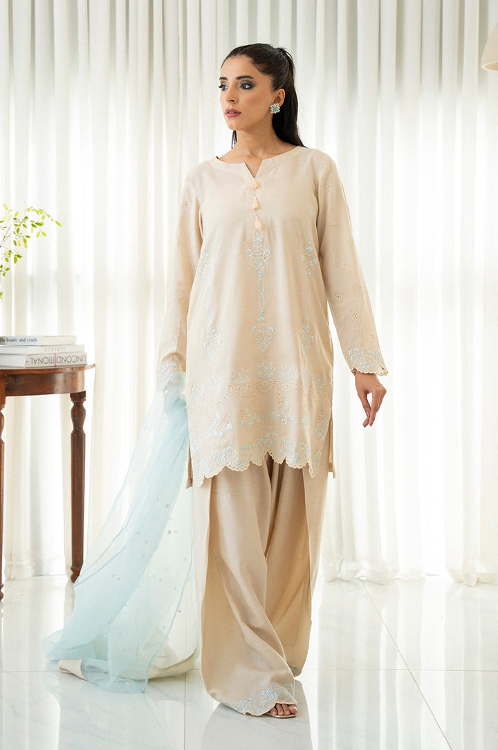 Liyaana From Nizka By Nida Rehan RTW Embroidered Raw Silk 3 Piece Suit Ivory Grace - Festive Collection