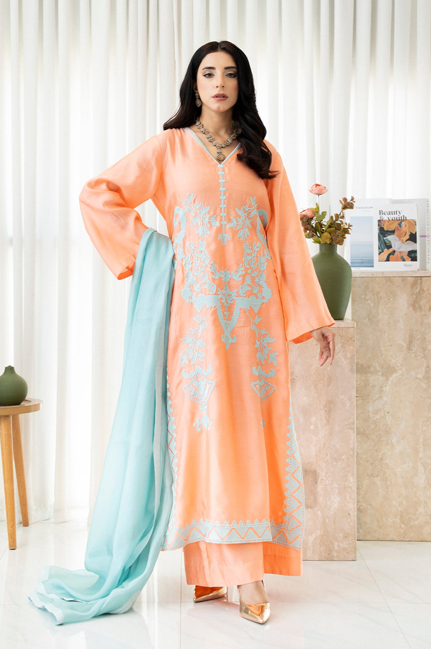 Liyaana From Nizka By Nida Rehan RTW Embroidered Organza Silk 3 Piece Suit Midnight Mist - Festive Collection