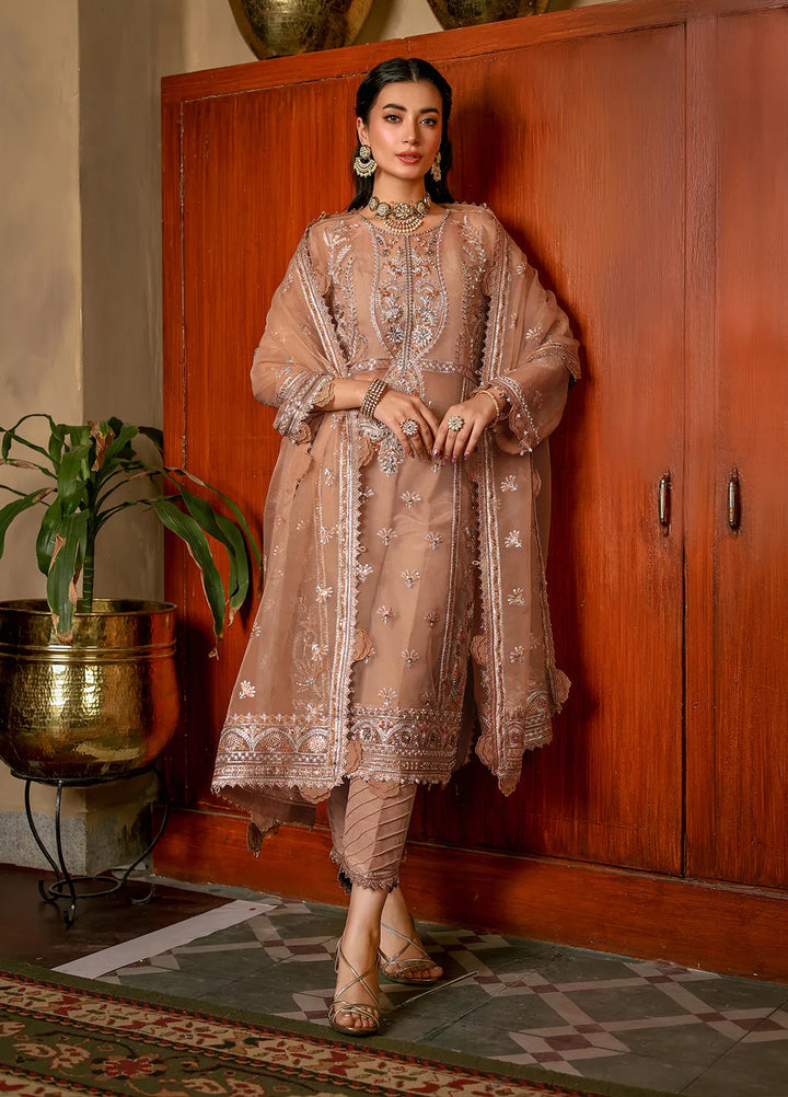 Imran Ramzan Embroidered Organza Suits Unstitched 3 Piece IR24R Arzu - Formals Collection