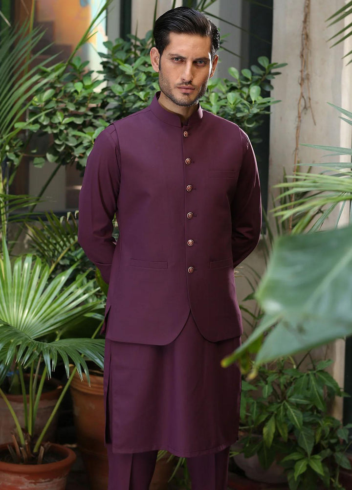 Istor Wash N Wear Formal Men Waistcoat -  EMPIRE PLUM IST-153
