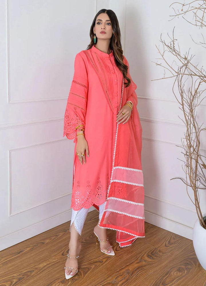 Jooray Kapray Pret Luxury  3 Piece Suit Punch