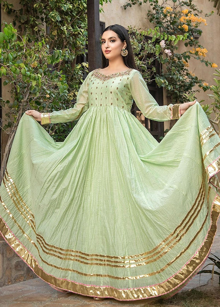Kaara Pret Semi Formal Organza 2 Piece Dress KR640 LISA