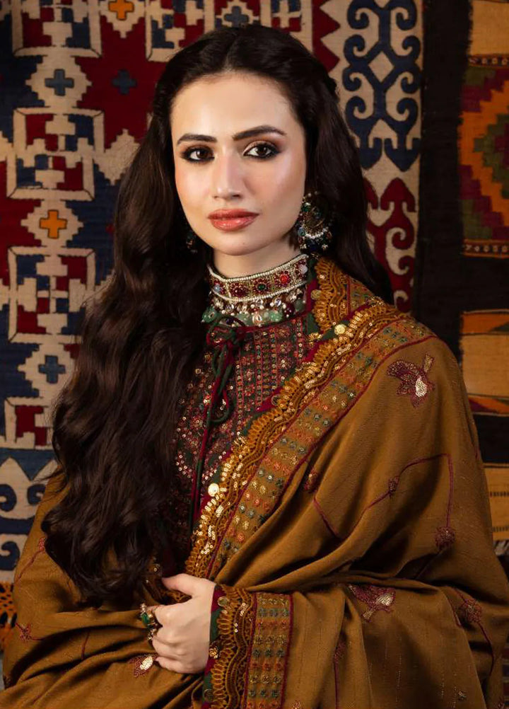 Kashmiri Taanka By Asim Jofa Embroidered Twill Suit 3 Piece AJ23KT AJKT-10 - Winter Collection