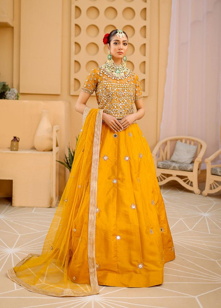 Kausar Attire Ready to Wear  Net 3 Piece Dress MA22IMP JUBILEE