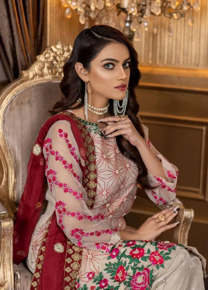 Ketifa Embroidered Organza Suits Unstitched 3 Piece Nz 0101 Splendid Pallete - Formals Collection