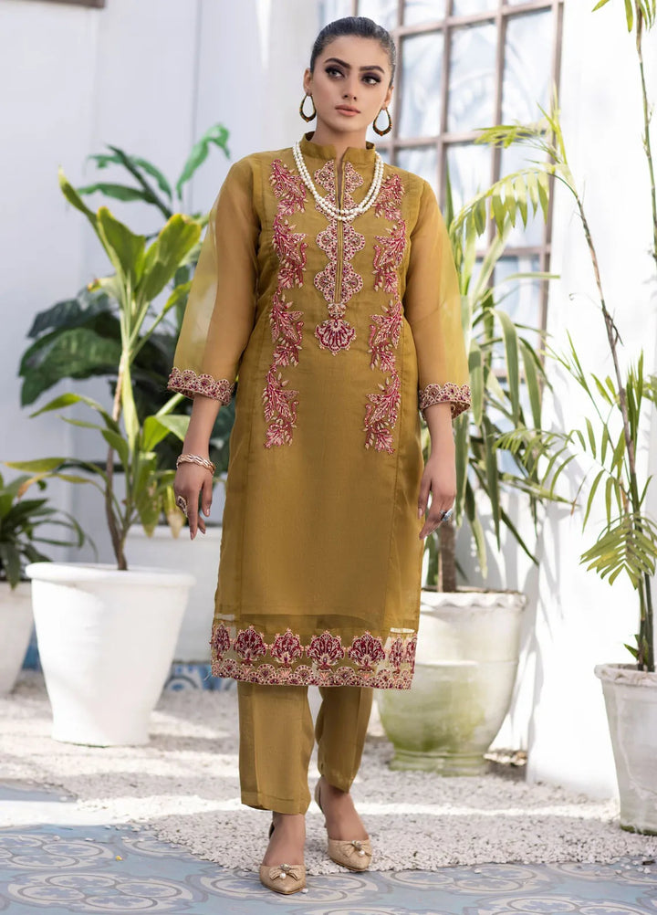 Ketifa Pret Embroidered Organza 2 Piece Suit Nr 0101 Dazzling Jazzy