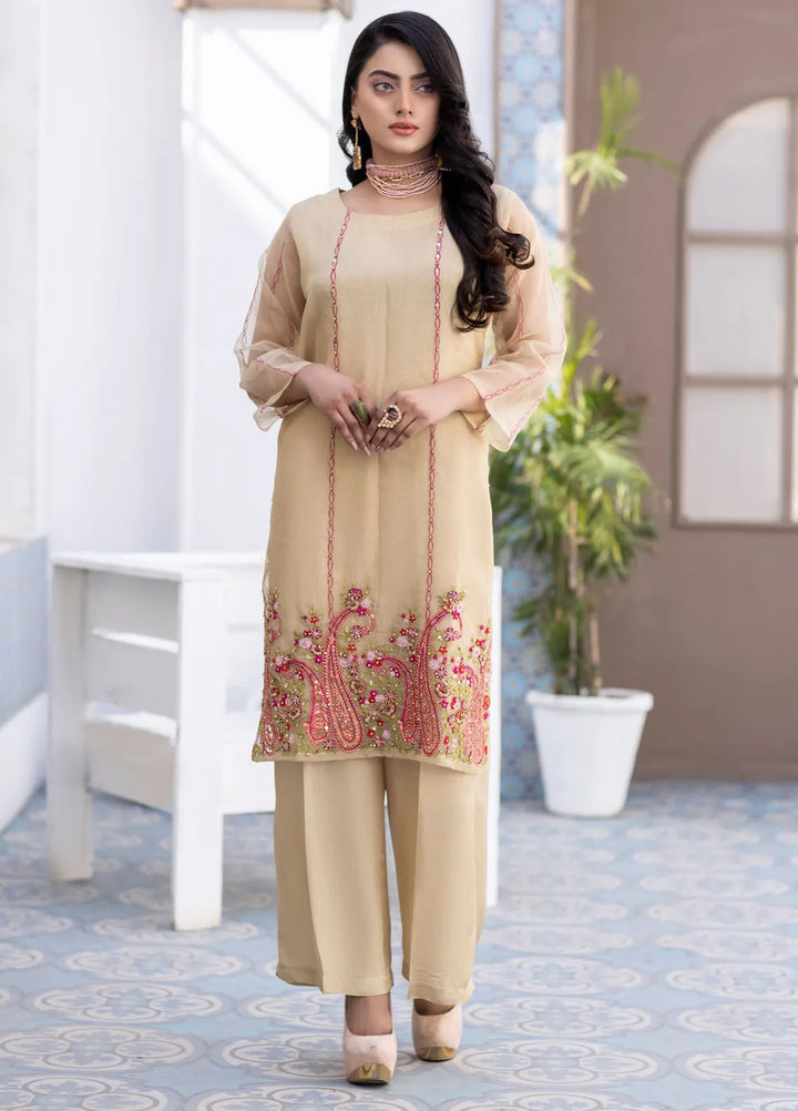 Ketifa Pret Embroidered Organza 2 Piece Suit Nr 0106 Pastle Shine