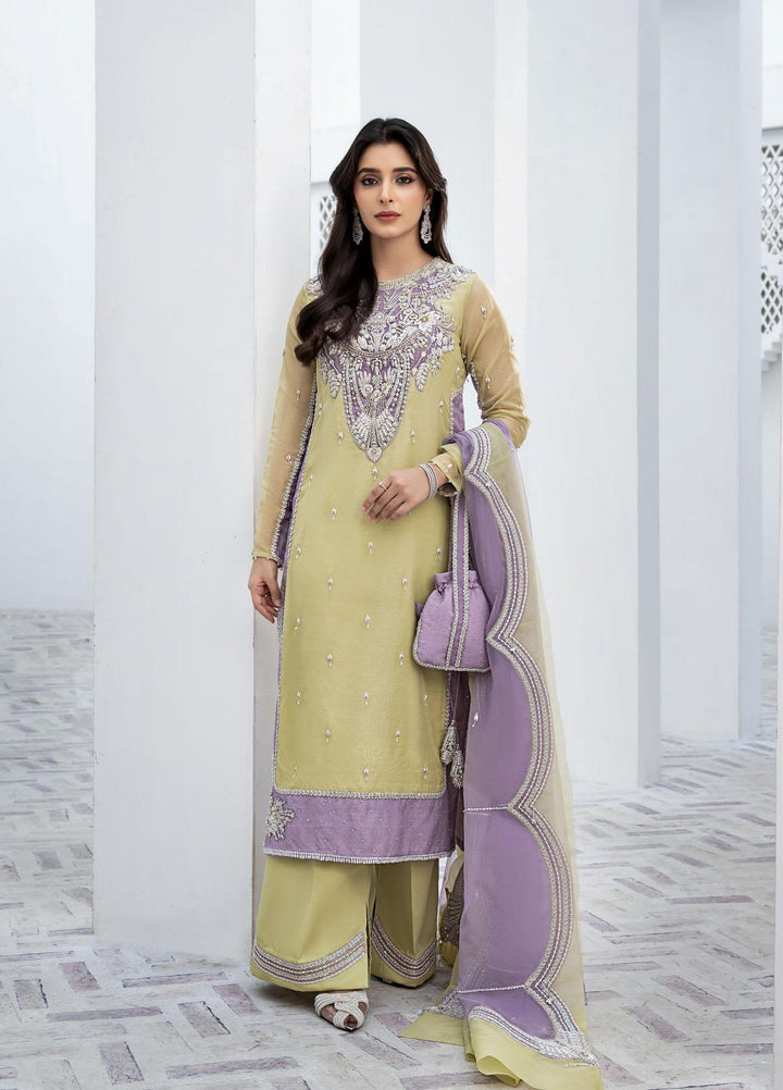 Shanyera Pret  Organza 2 Piece Suit CB - 5 Elise