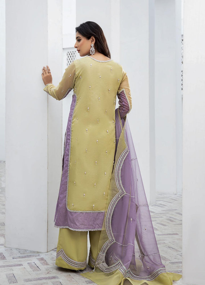 Shanyera Pret  Organza 2 Piece Suit CB - 5 Elise