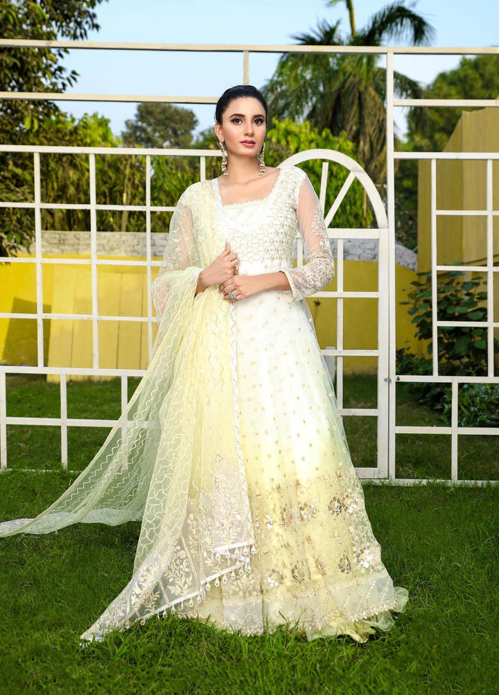 Laveen Embroidered Net Suits Unstitched 3 Piece LV22MNF-2 Laveen- Valentine - Luxury Festive Collection