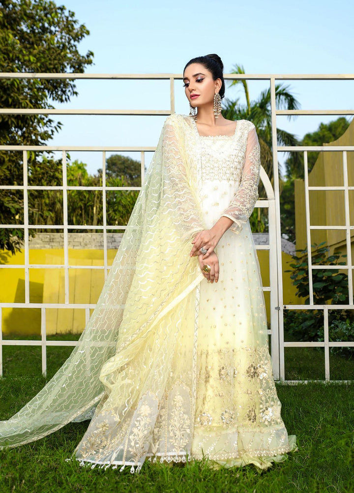 Laveen Embroidered Net Suits Unstitched 3 Piece LV22MNF-2 Laveen- Valentine - Luxury Festive Collection