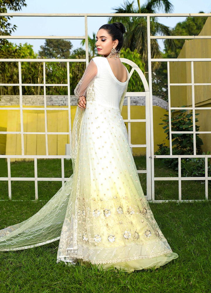 Laveen Embroidered Net Suits Unstitched 3 Piece LV22MNF-2 Laveen- Valentine - Luxury Festive Collection
