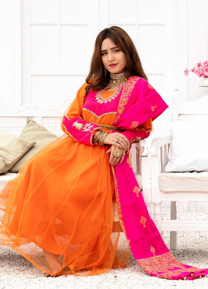 Lenaim Luxury Pret  Net 2 Piece Dress LN22WL Soul