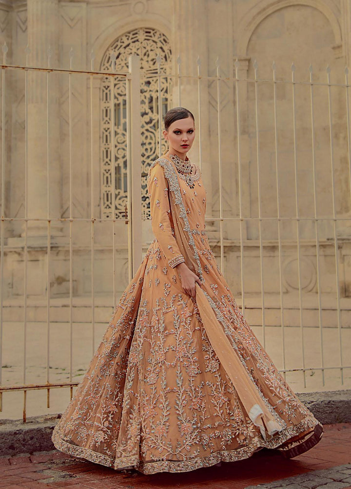Lussoro Luxury Pret  Net 3 Piece Dress LR22VN RA-0013