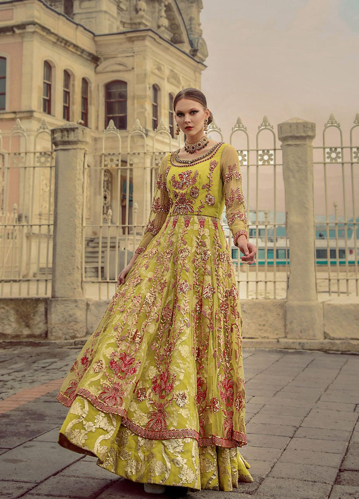 Lussoro Luxury Pret  Organza 2 Piece Dress LR22VN RA-009