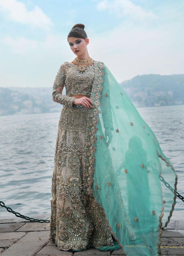 Lussoro Luxury Pret  Organza 3 Piece Dress LR22VN RA-012