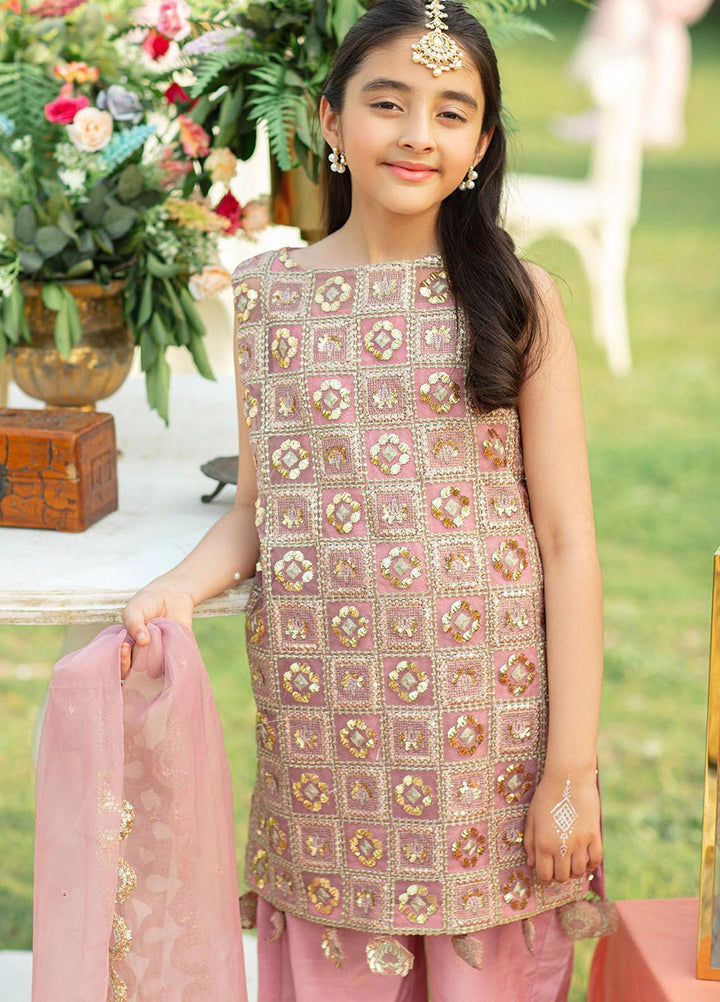 Vanya Pret Embroidered Organza 4 Piece VY22MM ME-01