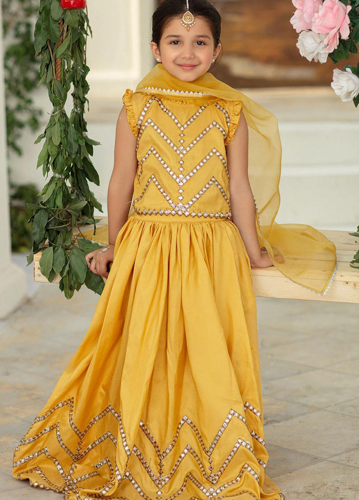 Vanya Pret Embroidered Organza 3 Piece VY22MM ME-02
