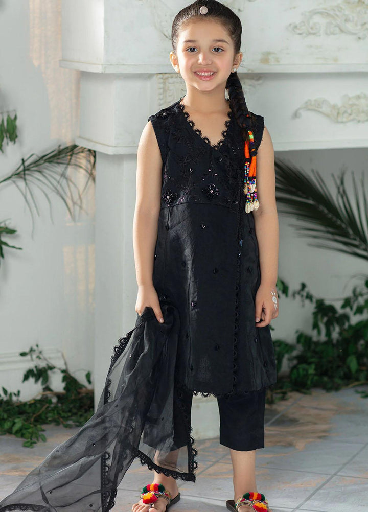 Vanya Pret Embroidered Raw Silk 3 Piece VY22MM ME-05