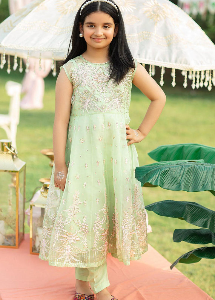 Vanya Pret Embroidered Raw Silk 2 Piece VY22MM ME-08