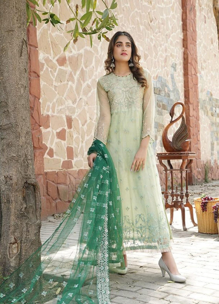 Maleena Embroidered Net Suits Unstitched 3 Piece MLN22UC Aname - Luxury Collection