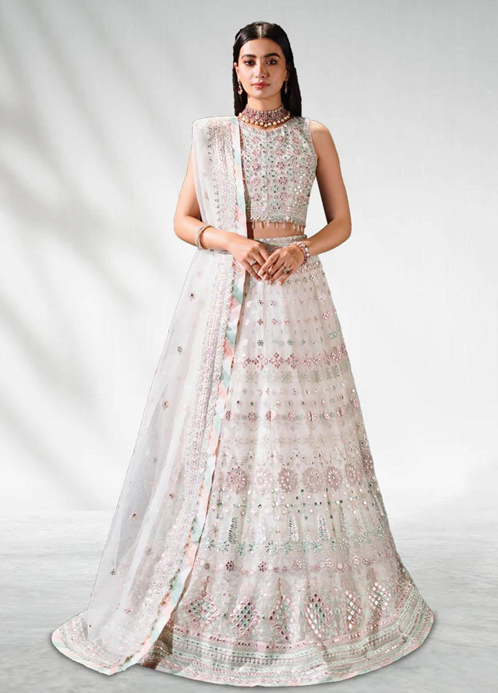 Malook By Shazia Ovais Pret Embroidered Net 3 Piece Suit MLK23B Sheesh Mahal