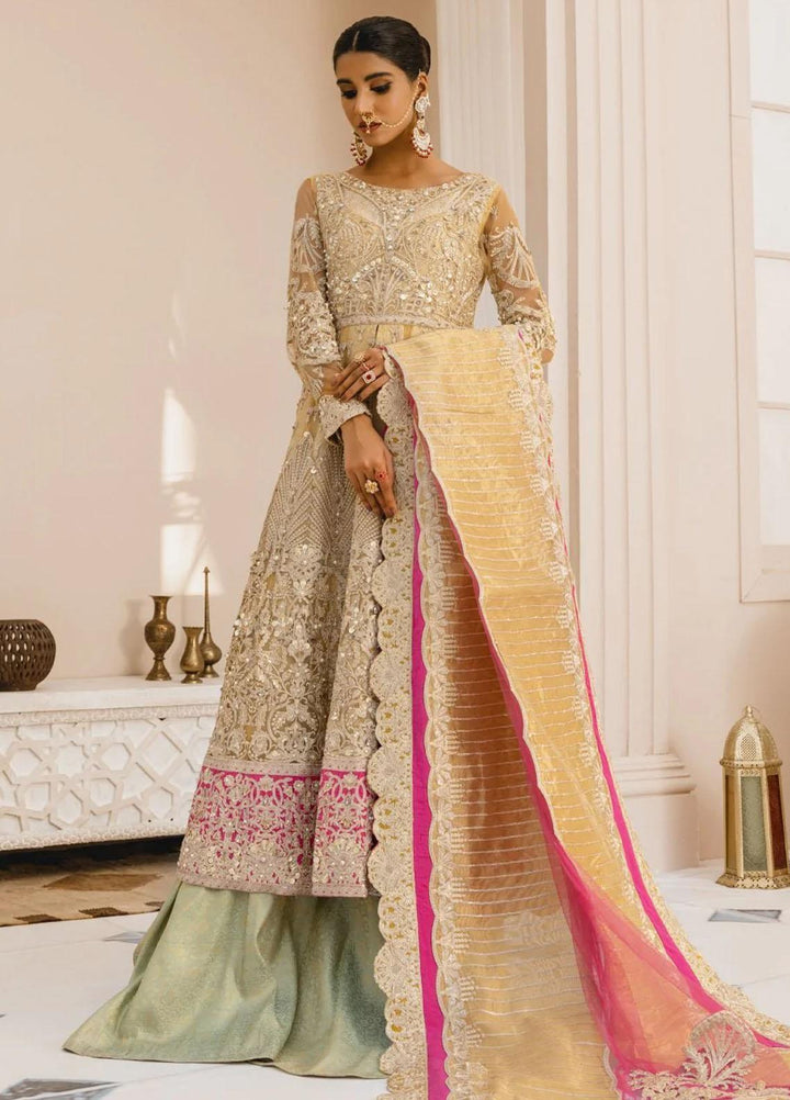 Mashq Luxury Pret Embroidered Net 3 Piece Suit MUSTLE & LOOK