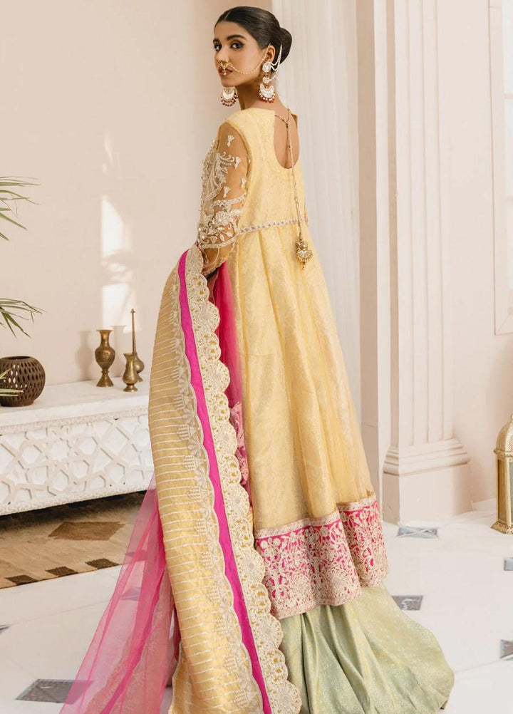 Mashq Luxury Pret Embroidered Net 3 Piece Suit MUSTLE & LOOK