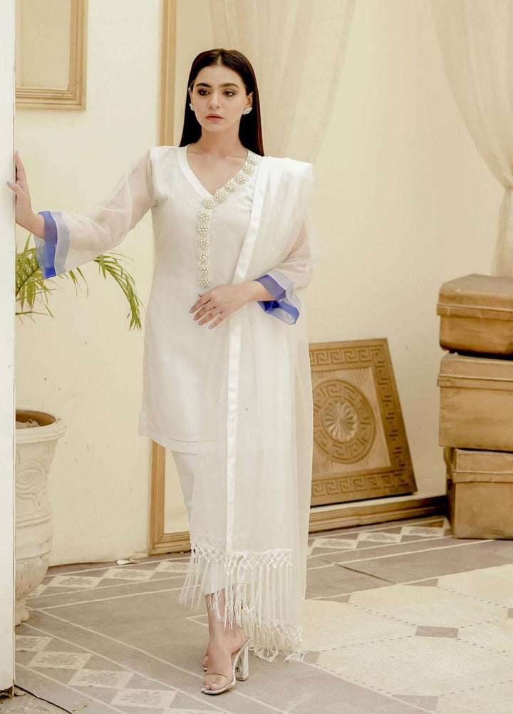 Meerab Shahid Pret  Organza 2 Piece MS22LP Bad e Saba