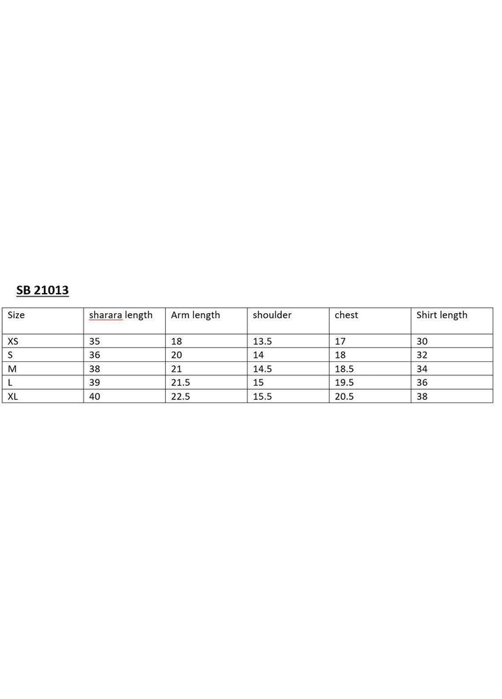 Meerab Shahid Pret  Net 2 Piece MS22PSH SB 21013