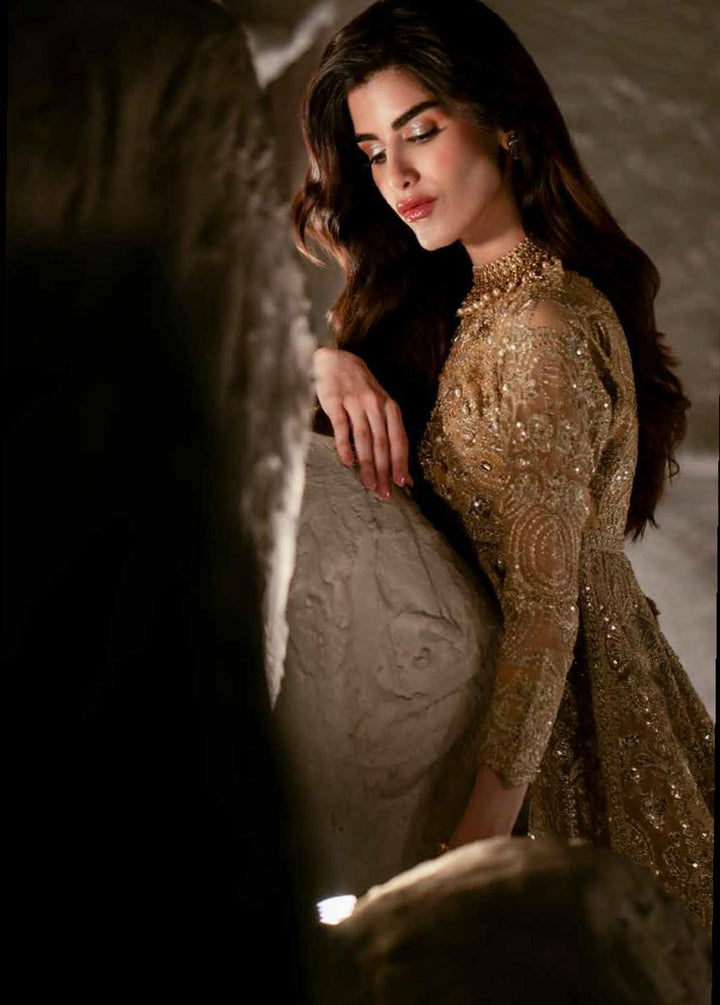 Mehr O Maah By Maryum N Maria Embroidered Organza Suits Unstitched 3 Piece MNM24MM MW23-531 Midge - Luxury Collection
