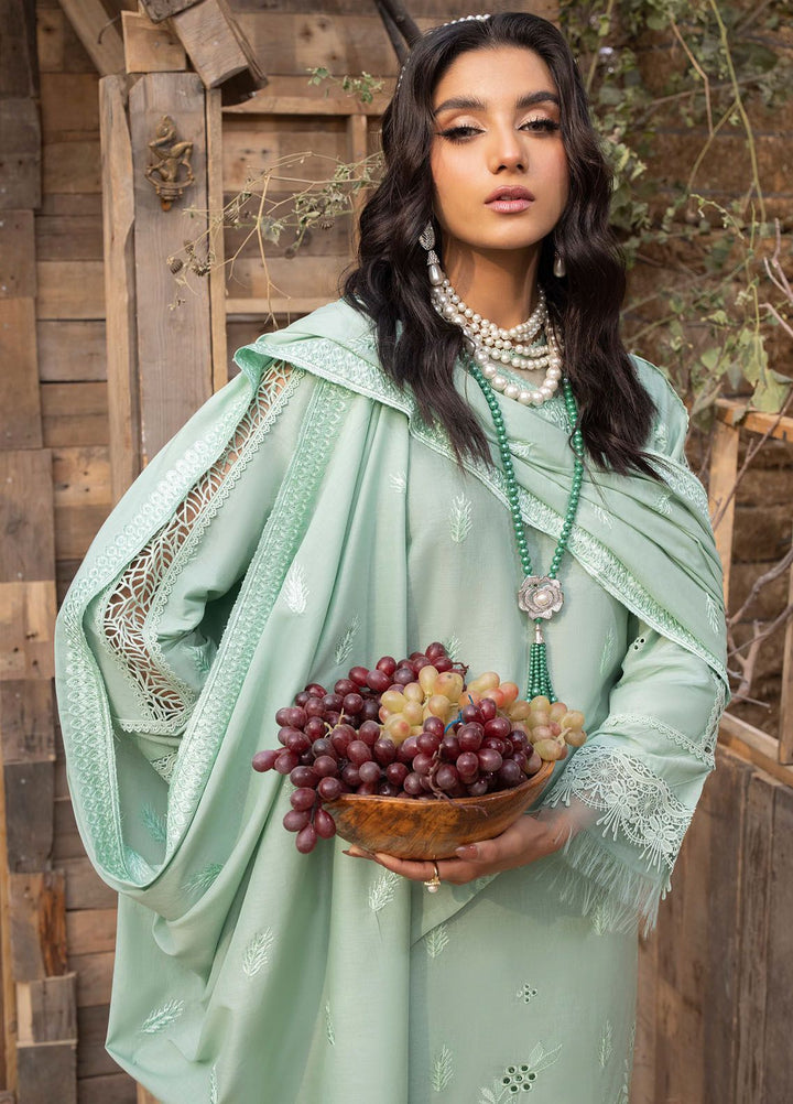 Mehru By Mahnur Embroidered Lawn Suits Unstitched 3 Piece MN24MR D-06 - Summer Collection