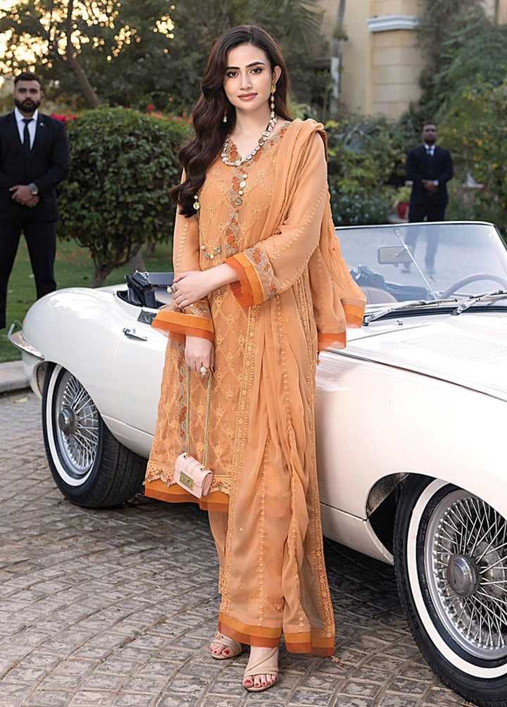 Merakish By Shahzeb Textiles Embroidered Chiffon Suits Unstitched 3 Piece ST23MK Buttercup - Luxury Collection