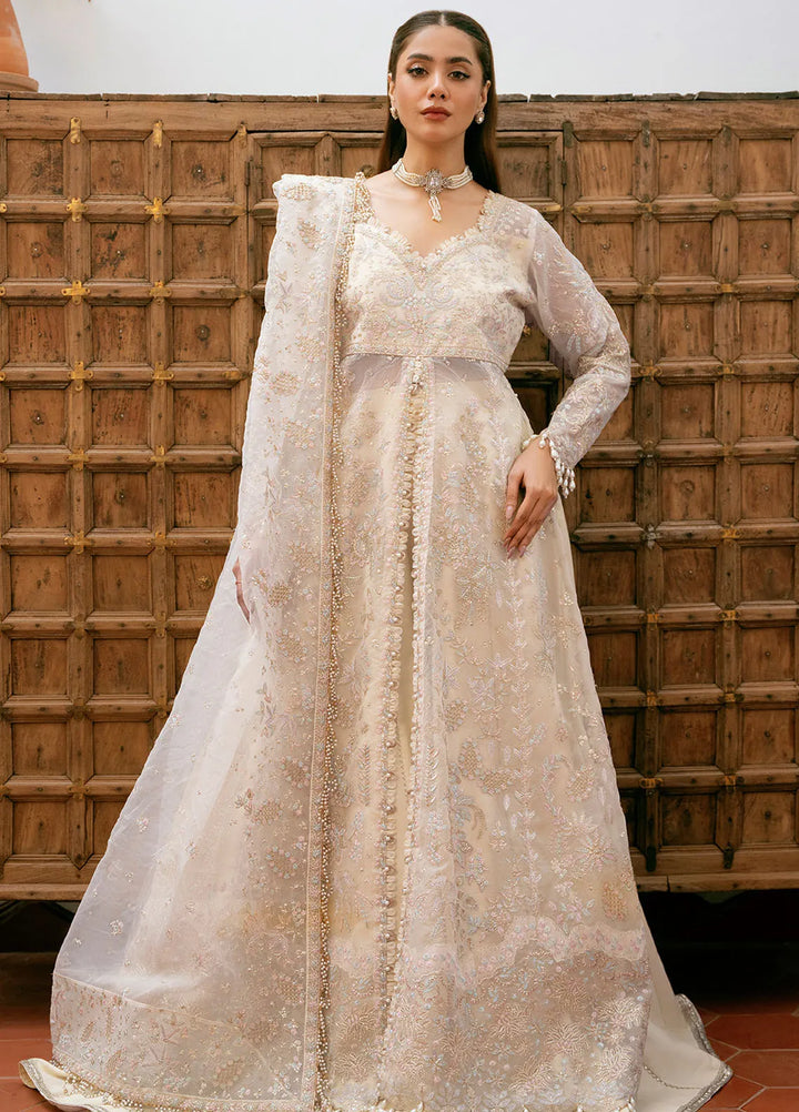 Mireya by Declare Embroidered Raw Silk Suits Unstitched 3 Piece DC24ML LOTUS LFU-0015 - Luxury Collection