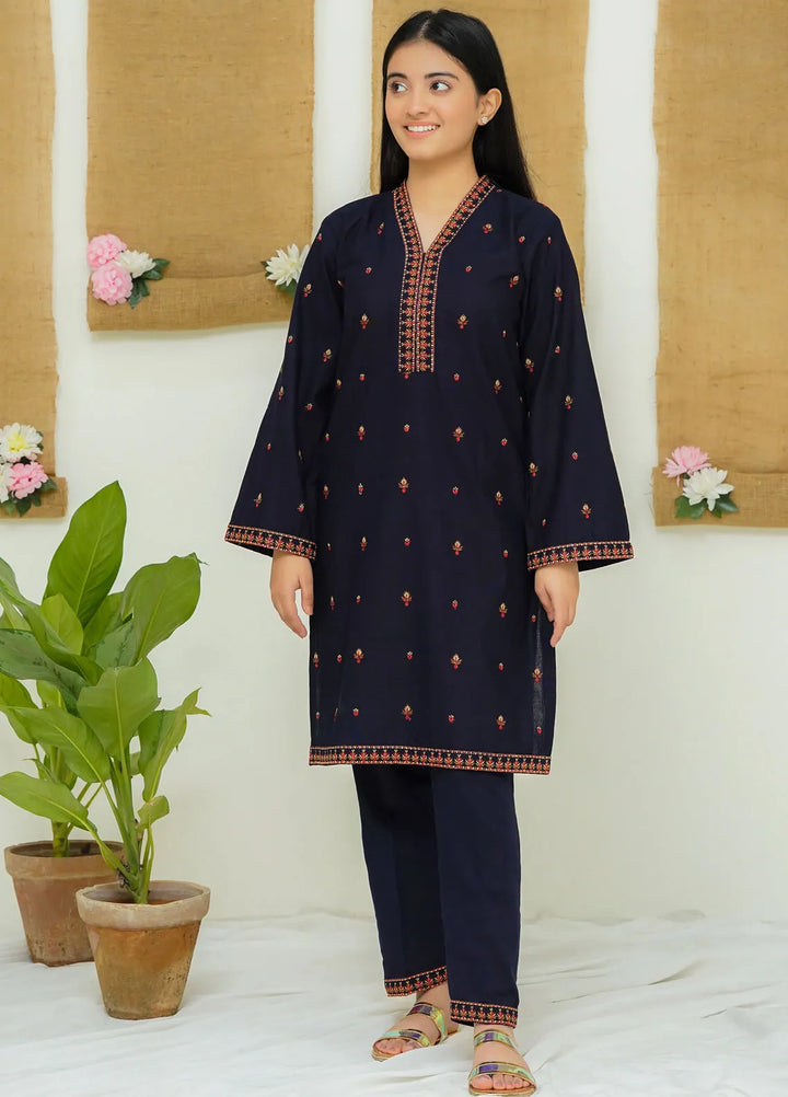 Modest Pret Casual Khaddar 2 Piece Suit Dusk