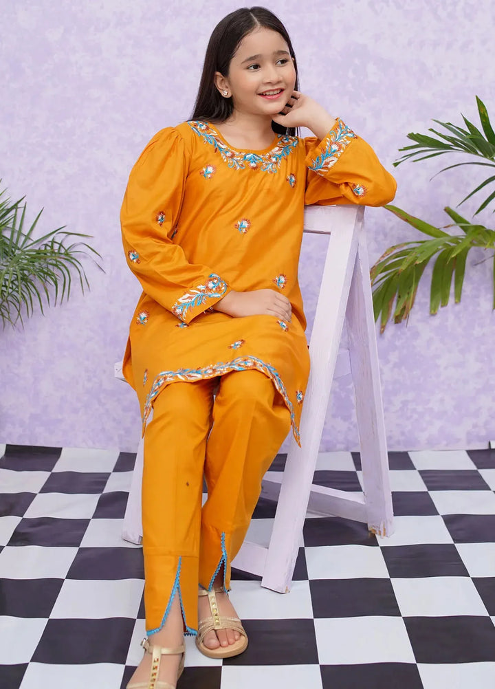 Modest Pret Embroidered Cotton 2 Piece Suit 8485