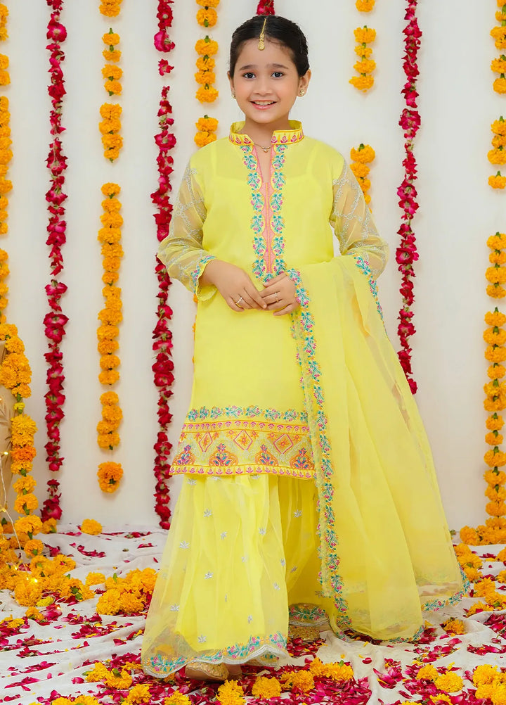 Modest Pret Hareem Rawsilk 3 Piece Suit Hareem
