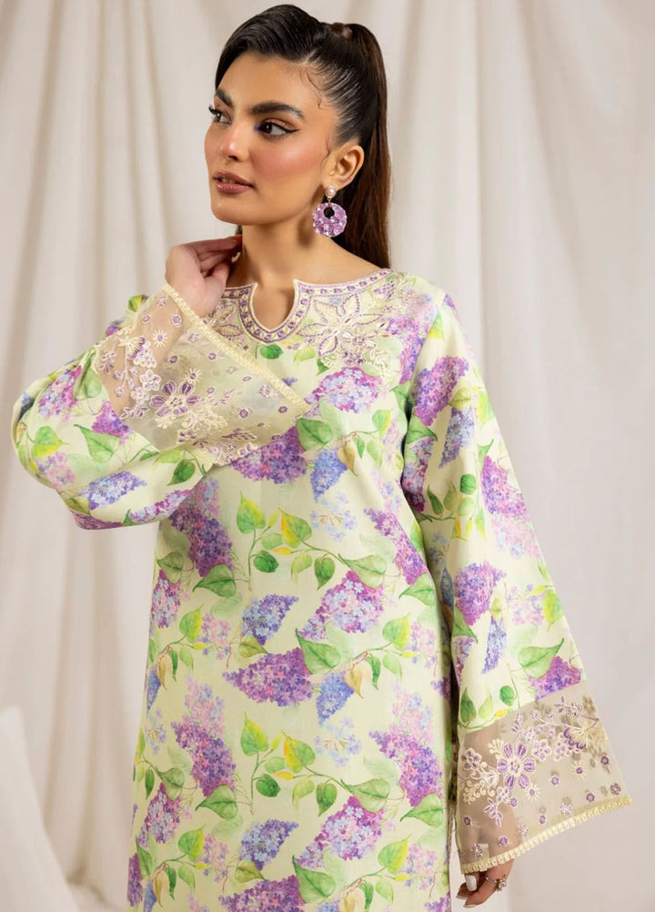 Mohagni Embroidered Lawn Suits Unstitched 2 Piece MG24T PLS-102 - Summer Collection