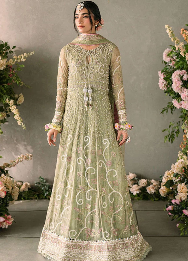 Mushq Embroidered Chiffon Suits Unstitched 3 Piece MQ25MR MCH-10 Namar - Formals Collection