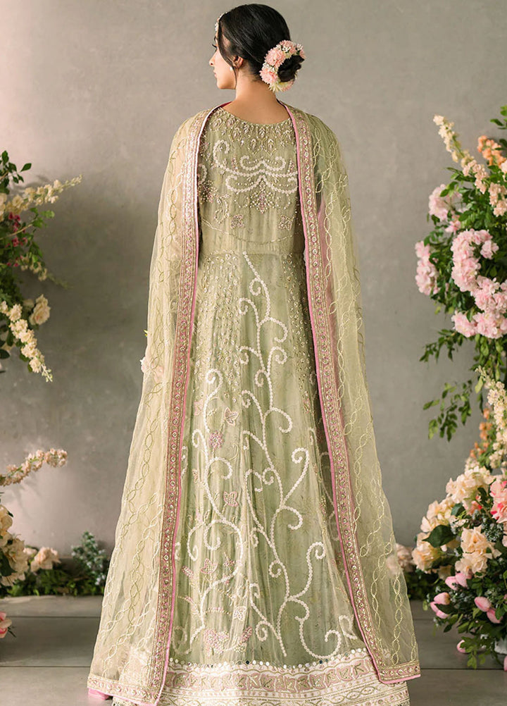 Mushq Embroidered Chiffon Suits Unstitched 3 Piece MQ25MR MCH-10 Namar - Formals Collection